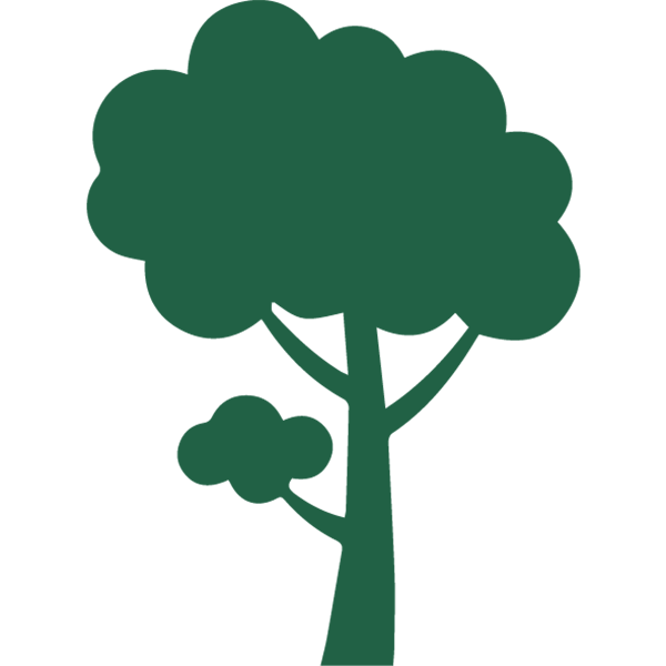 Mehr Urwald für Österreich